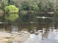 Photo 5 of Knaresborough Lido