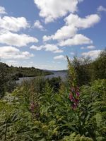 Photo 4 of Loch Shiel Jetty
