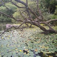 Photo 5 of Kit Hill Quarry