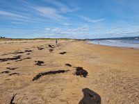West Beach, North Berwick