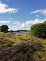 Photo 2 of Cocksburn Reservoir, Bridge of Allan