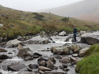 Photo 2 of Swineside