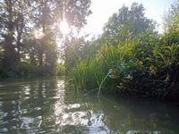 Photo 3 of Minster Lovell Hall