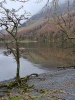 Buttermere
