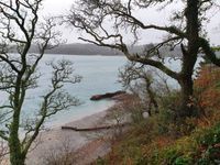 Photo 3 of Grebe Beach