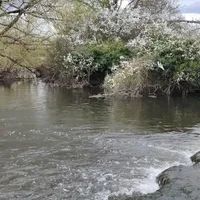 Photo 3 of River Black Bourn at Honington