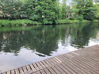 Photo 2 of River Wear