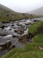 Photo 3 of Swineside