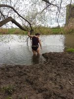 Photo 5 of Sturminster Newton