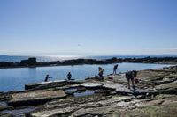 Photo 2 of Cellardyke Tidal Pool