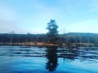 Photo 4 of Loch Trool