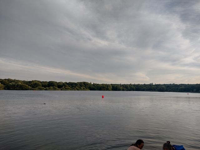 Swan Pool
