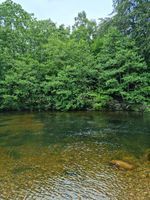 Photo 4 of Roaring Mill, Glen Nevis