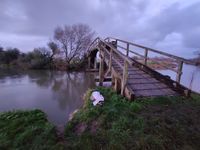 Photo 3 of Chimney Meadows Nature Reserve