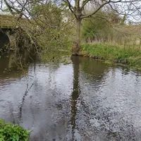 Photo 2 of River Black Bourn at Honington