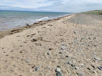 Photo 2 of Blue Point