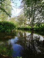 Photo 3 of Woollard Plunge Pool