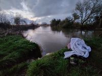 Photo 2 of Chimney Meadows Nature Reserve