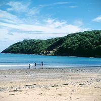 Photo 3 of Oxwich Bay Beach