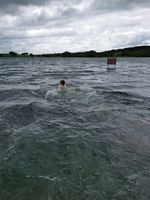 Photo 5 of Pickmere Lake