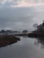 Photo 4 of Chimney Meadows Nature Reserve