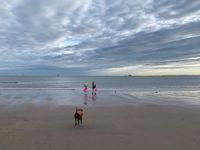 Photo 3 of Seafield beach