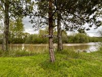 Photo 4 of Watersedge Watersports