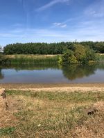Photo 2 of Thames swim (Newbridge)