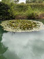 Photo 5 of Yoke hill leisure