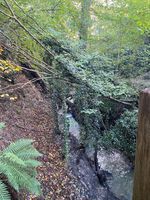 Photo 5 of Old Roar Gill &  Coronation Wood