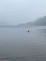 Photo 2 of Firkin Point