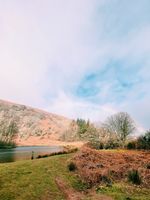 Photo 3 of Punchbowl