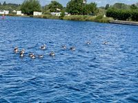 Photo 2 of Croft farm water park