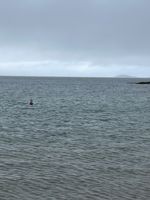 Photo 5 of Wee Ganavan