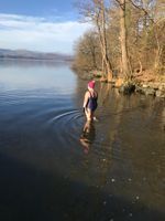 Photo 3 of Windermere, Millerground Landing