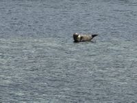 Photo 2 of Ascog Bay