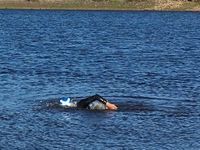 Photo 3 of Balgray Reservoir