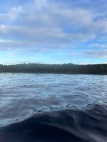 Photo 3 of Loch an Eilein Rothiemurchus