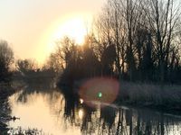 Photo 5 of River Chelmer