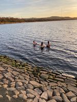 Photo 4 of Forrestburn