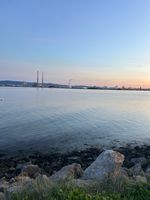 Photo 3 of Bull Wall