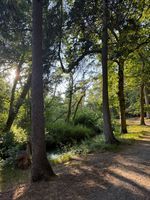 Photo 5 of Fairhaven Woodland & Water Garden