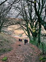 Photo 2 of Punchbowl