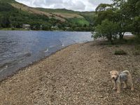 Photo 5 of Loch Earn