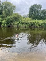 Photo 3 of Breinton, River Wye