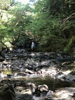 Photo 2 of Holy Linn, Dalry