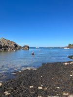 Photo 5 of Churston Cove