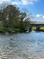 Had a lovely swim just a bit further up from the weir where the current wasn’t so strong.