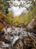Photo 3 of Fairy Glen, Betws-Y-Coed
