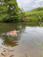 Photo 5 of Matlock Swoosh